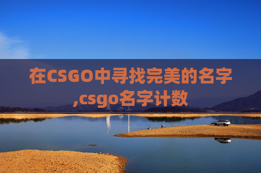 在CSGO中寻找完美的名字,csgo名字计数
