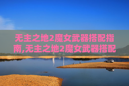 无主之地2魔女武器搭配指南,无主之地2魔女武器搭配攻略