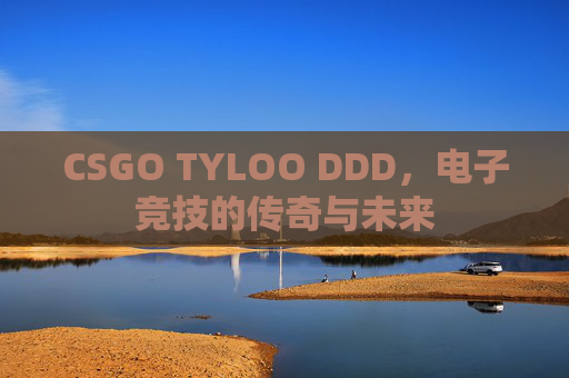 CSGO TYLOO DDD，电子竞技的传奇与未来