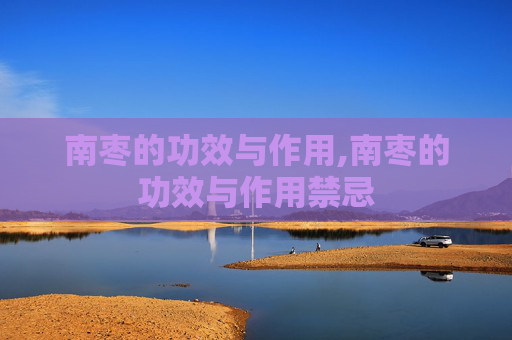 南枣的功效与作用,南枣的功效与作用禁忌