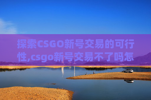 探索CSGO新号交易的可行性,csgo新号交易不了吗怎么办