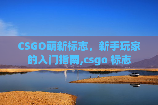 CSGO萌新标志，新手玩家的入门指南,csgo 标志