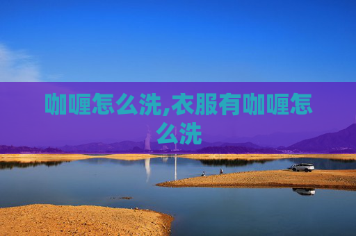 咖喱怎么洗,衣服有咖喱怎么洗