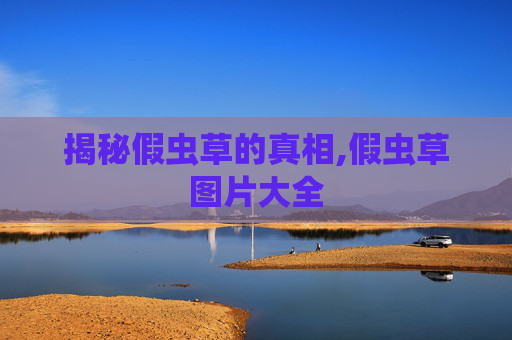揭秘假虫草的真相,假虫草图片大全