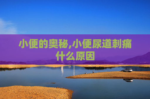 小便的奥秘,小便尿道刺痛什么原因