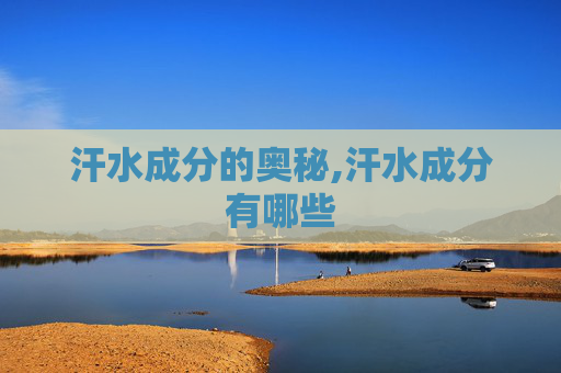 汗水成分的奥秘,汗水成分有哪些