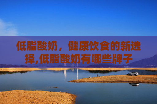 低脂酸奶，健康饮食的新选择,低脂酸奶有哪些牌子
