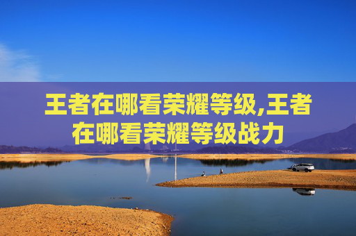 王者在哪看荣耀等级,王者在哪看荣耀等级战力