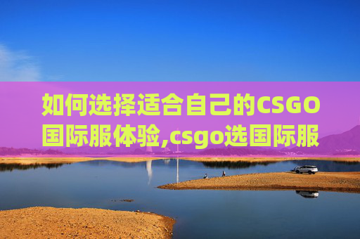 如何选择适合自己的CSGO国际服体验,csgo选国际服还是国服界面