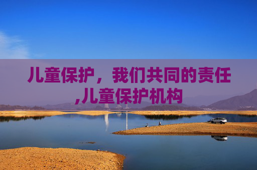 儿童保护，我们共同的责任,儿童保护机构