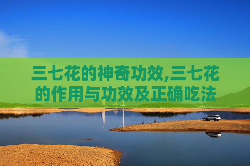 三七花的神奇功效,三七花的作用与功效及正确吃法