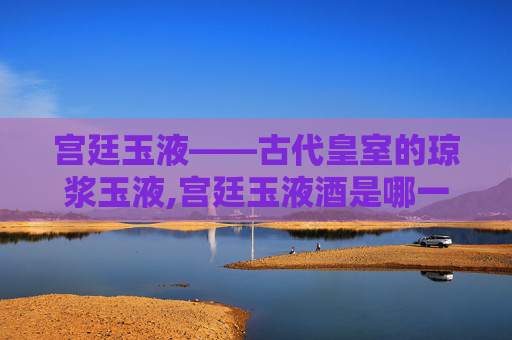 宫廷玉液——古代皇室的琼浆玉液,宫廷玉液酒是哪一年的小品