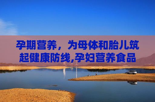 孕期营养，为母体和胎儿筑起健康防线,孕妇营养食品0-6个月的准妈妈专用