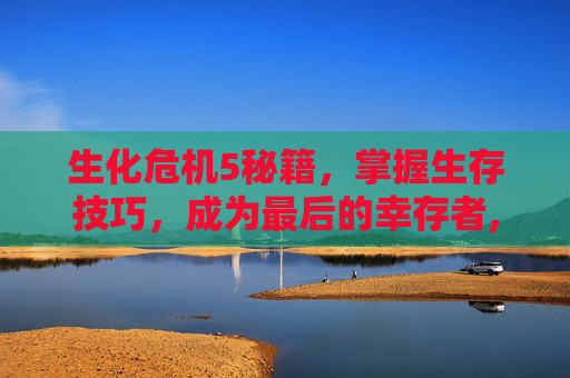生化危机5秘籍，掌握生存技巧，成为最后的幸存者,生化危机5秘籍怎么输