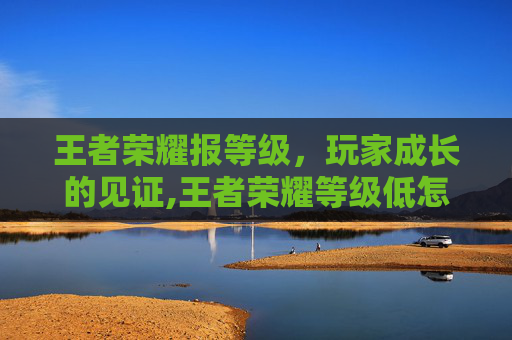 王者荣耀报等级，玩家成长的见证,王者荣耀等级低怎么办