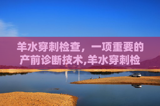 羊水穿刺检查，一项重要的产前诊断技术,羊水穿刺检查多少钱