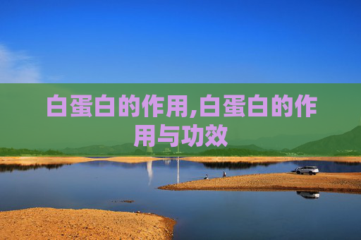 白蛋白的作用,白蛋白的作用与功效