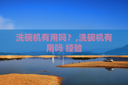 洗碗机有用吗？,洗碗机有用吗 经验