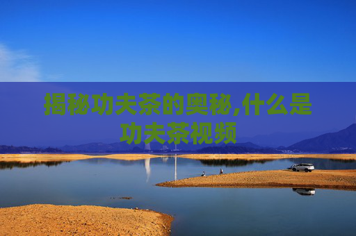 揭秘功夫茶的奥秘,什么是功夫茶视频