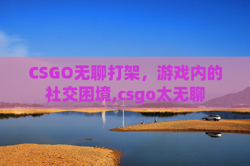 CSGO无聊打架，游戏内的社交困境,csgo太无聊