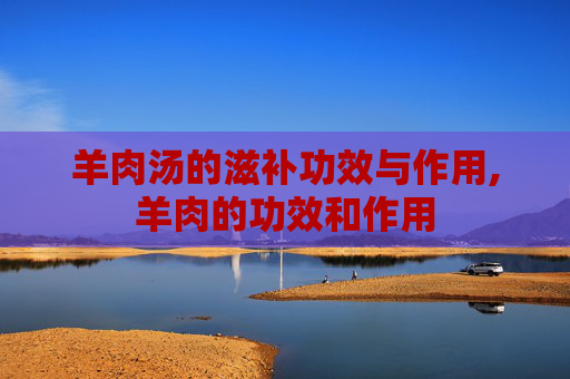 羊肉汤的滋补功效与作用,羊肉的功效和作用