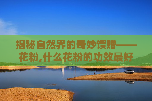 揭秘自然界的奇妙馈赠——花粉,什么花粉的功效最好