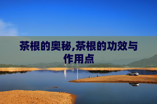 茶根的奥秘,茶根的功效与作用点
