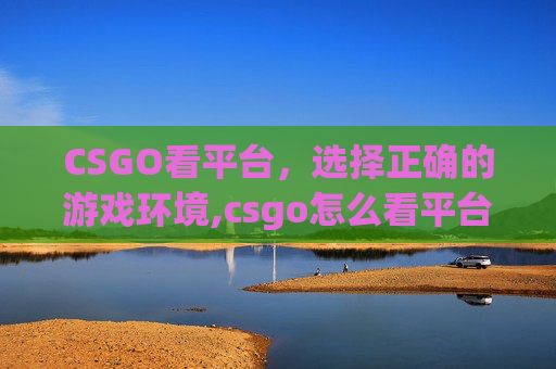 CSGO看平台，选择正确的游戏环境,csgo怎么看平台
