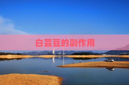 白芸豆的副作用