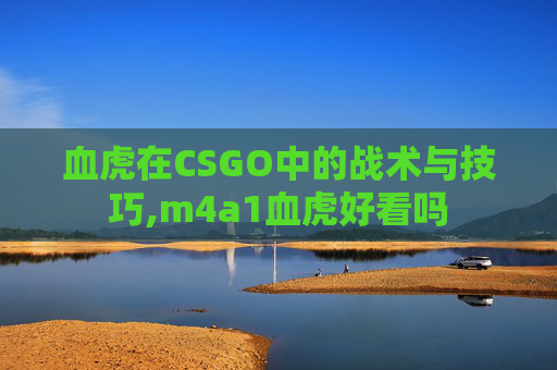 血虎在CSGO中的战术与技巧,m4a1血虎好看吗