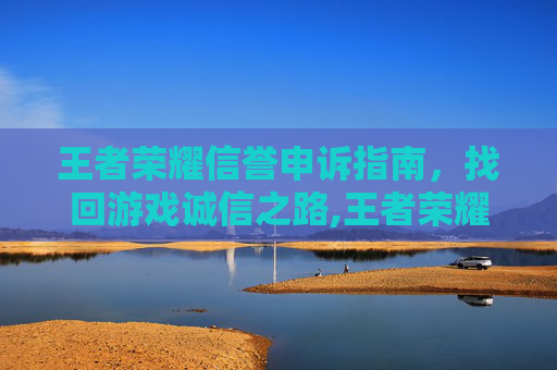 王者荣耀信誉申诉指南，找回游戏诚信之路,王者荣耀信誉申诉入口在哪里