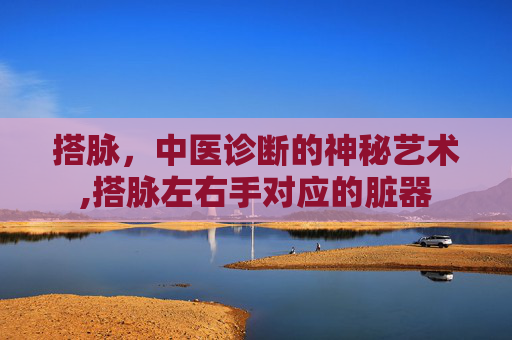 搭脉，中医诊断的神秘艺术,搭脉左右手对应的脏器
