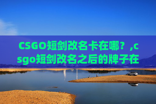 CSGO短剑改名卡在哪？,csgo短剑改名之后的牌子在哪