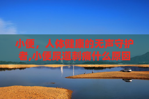 小便，人体健康的无声守护者,小便尿道刺痛什么原因