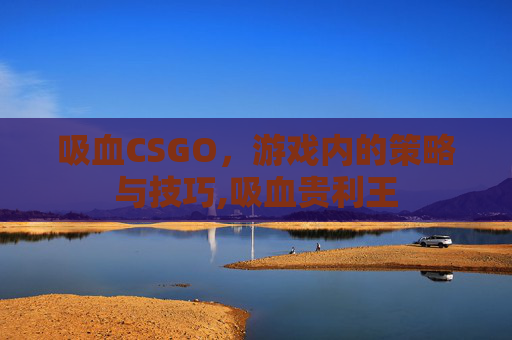 吸血CSGO，游戏内的策略与技巧,吸血贵利王