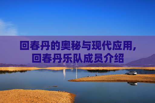 回春丹的奥秘与现代应用,回春丹乐队成员介绍
