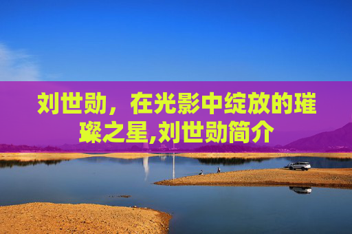 刘世勋，在光影中绽放的璀璨之星,刘世勋简介