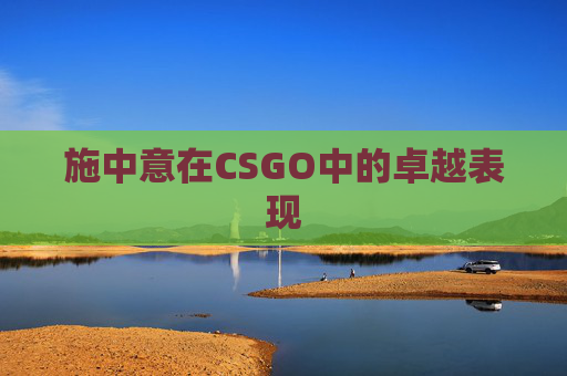 施中意在CSGO中的卓越表现