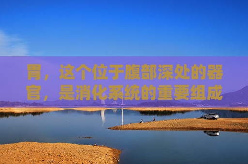 胃，这个位于腹部深处的器官，是消化系统的重要组成部分。它像一个巨大的仓库，储存着我们每天摄入的食物。当食物进入胃中时，胃酸和消化酶开始发挥作用，将食物分解成更小的分子，以便吸收。这个过程被称为消化。,人的胃在那边