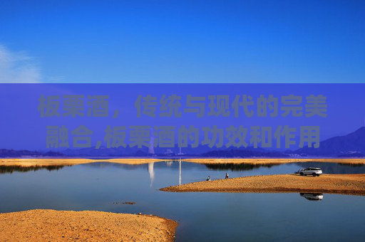 板栗酒，传统与现代的完美融合,板栗酒的功效和作用