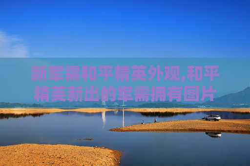 新军需和平精英外观,和平精英新出的军需拥有图片