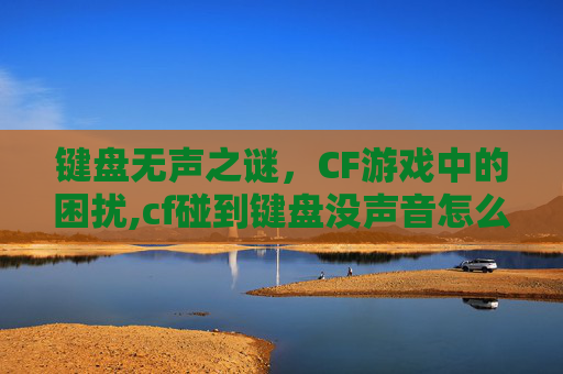 键盘无声之谜，CF游戏中的困扰,cf碰到键盘没声音怎么办