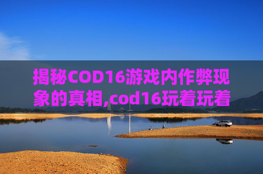 揭秘COD16游戏内作弊现象的真相,cod16玩着玩着黑屏