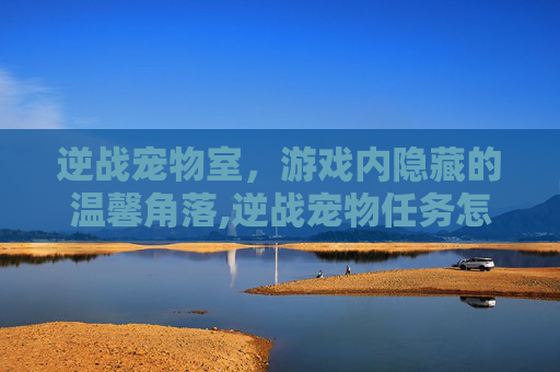 逆战宠物室，游戏内隐藏的温馨角落,逆战宠物任务怎么做