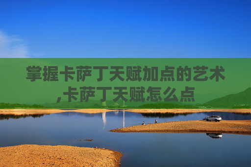 掌握卡萨丁天赋加点的艺术,卡萨丁天赋怎么点