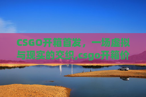 CSGO开箱首发，一场虚拟与现实的交织,csgo开箱价值详解