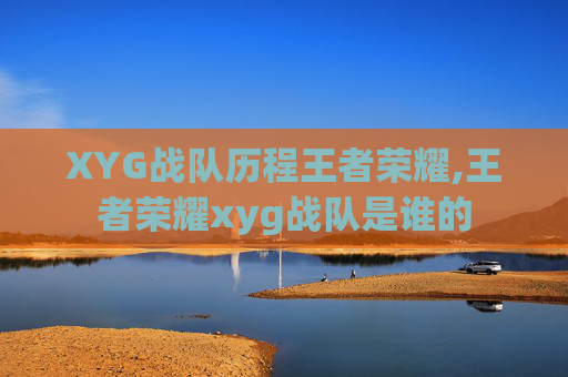 XYG战队历程王者荣耀,王者荣耀xyg战队是谁的