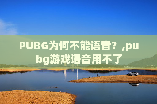 PUBG为何不能语音？,pubg游戏语音用不了