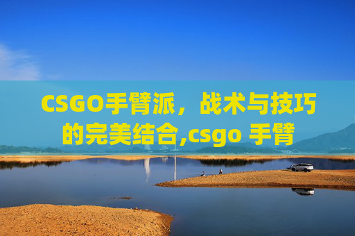 CSGO手臂派，战术与技巧的完美结合,csgo 手臂