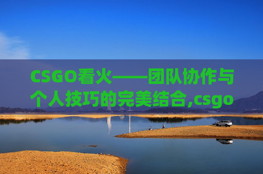 CSGO看火——团队协作与个人技巧的完美结合,csgo火怎么看清楚
